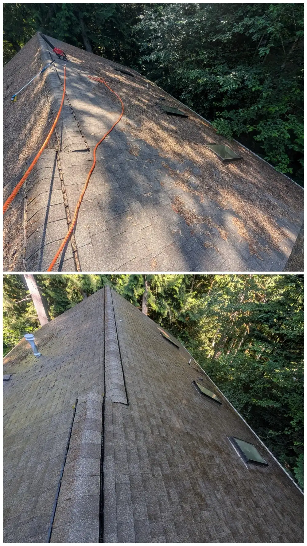 Before and after roof cleaning on a steep Sudden Valley roof with skylights. Needles along the ridge, then the debris is gone.